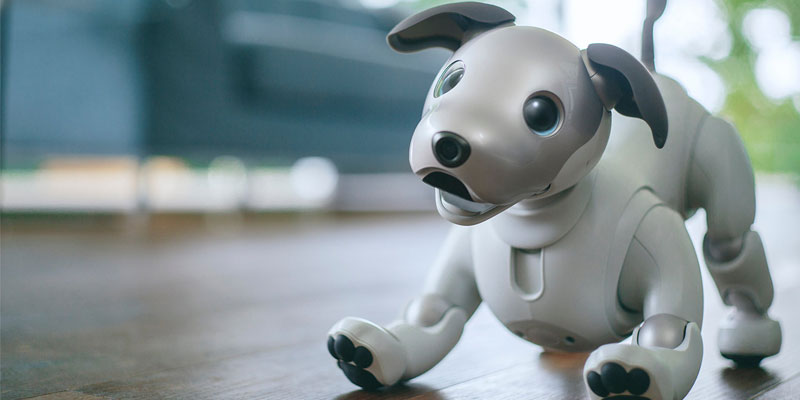 Sony lets revamped Aibo off the leash | Mojo Nation