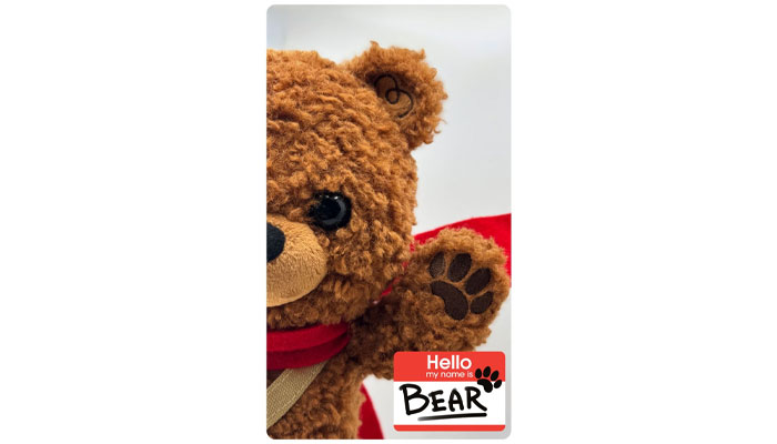 Klim Kozinevich, Bigshot Toyworks, Here There Bear