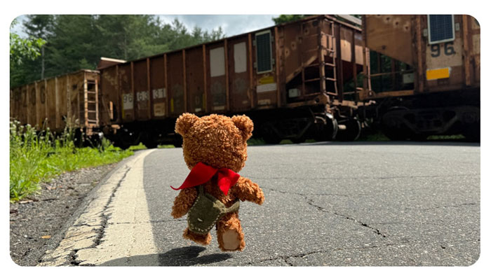 Klim Kozinevich, Bigshot Toyworks, Here There Bear
