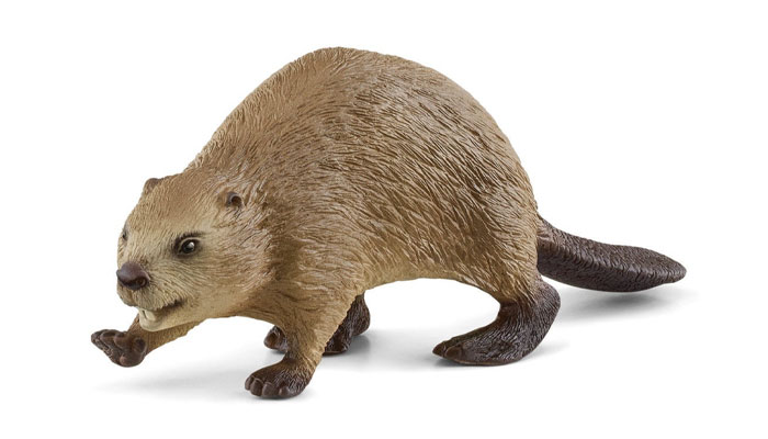 David Albert, Schleich