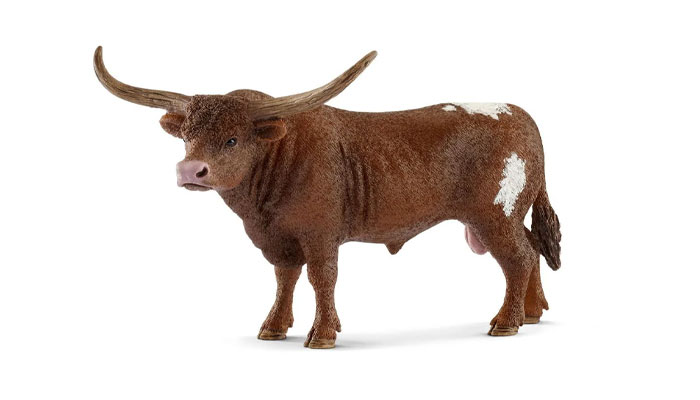 David Albert, Schleich